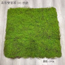 ������̦�\��Ƥ�����ƺֲ�ﾰ�^�Gɫֲ���������չʾ�辰��̦�\