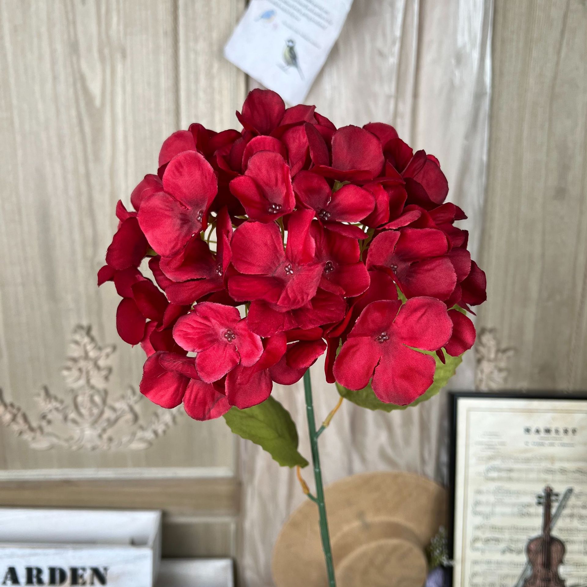 XQ-Hortênsia com Revestimento Único-Vermelho