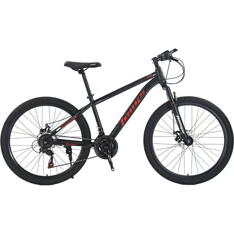 Mountain quality Phoenix, bike, bearing