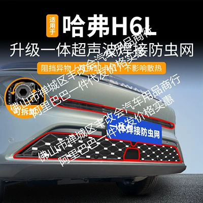 Suitable for Haval H6L Integrated Welded Car Insect-Proof Net Front Grille Special Modified Decorative Strip Accessories