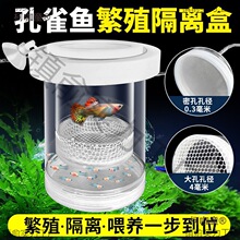 孔雀鱼隔离繁殖盒鱼缸鱼苗幼鱼小鱼分隔盒凤尾鱼孵化孕母鱼麦太保