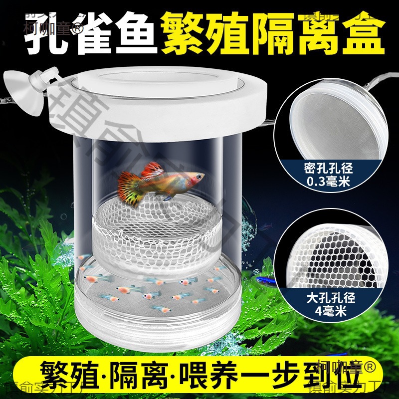 孔雀鱼隔离繁殖盒鱼缸鱼苗幼鱼小鱼分隔盒凤尾鱼孵化孕母鱼麦太保