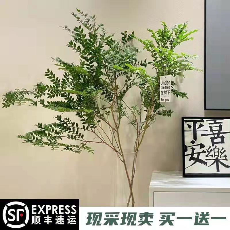 Meinanshu Japanese Hanging Bell Horse Drunken Wood Flat-Cut Branches Hydroponic Indoor Living Room Decoration Internet Celebrity Green Plants Scandinavian Ancient Charm