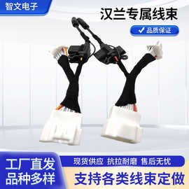 厂家直供 汉兰专属线束 mazida18P 公母壳记录仪转接线 车载线束