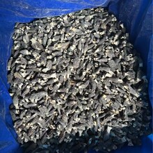 产地批发云南羊肚菌种植无柄尖头食用菌干货小个羊肚菌煲汤食材