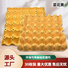 纸浆模塑;塑料蛋托;纸托盘