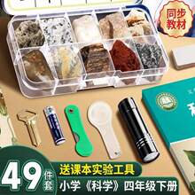 ���꼉�ƌW��С�W����ʯ�˱��c�V��˱��������ƌW�n�W����
