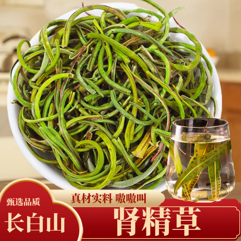 长白山肾精草100g肾精化石草黄金草嗷嗷叫真材实料厂家直销批发|undefined