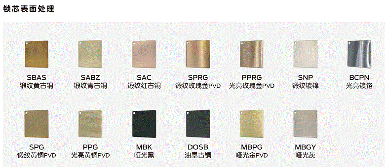 ���۴���ֱ�����ʽ�Schlage������EC902˫��о