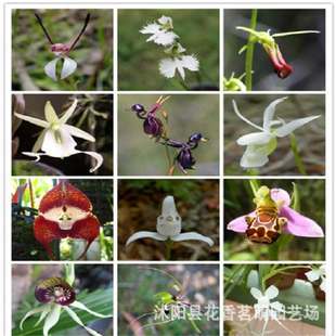 ���羳��؛�������m�N�ӻ������� �m�� ����� ���F�� ������t��