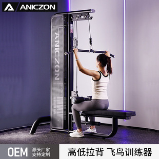 高位下拉训练器锻炼背部高低拉背肌训练器健身房商用高拉背器材-阿里巴巴