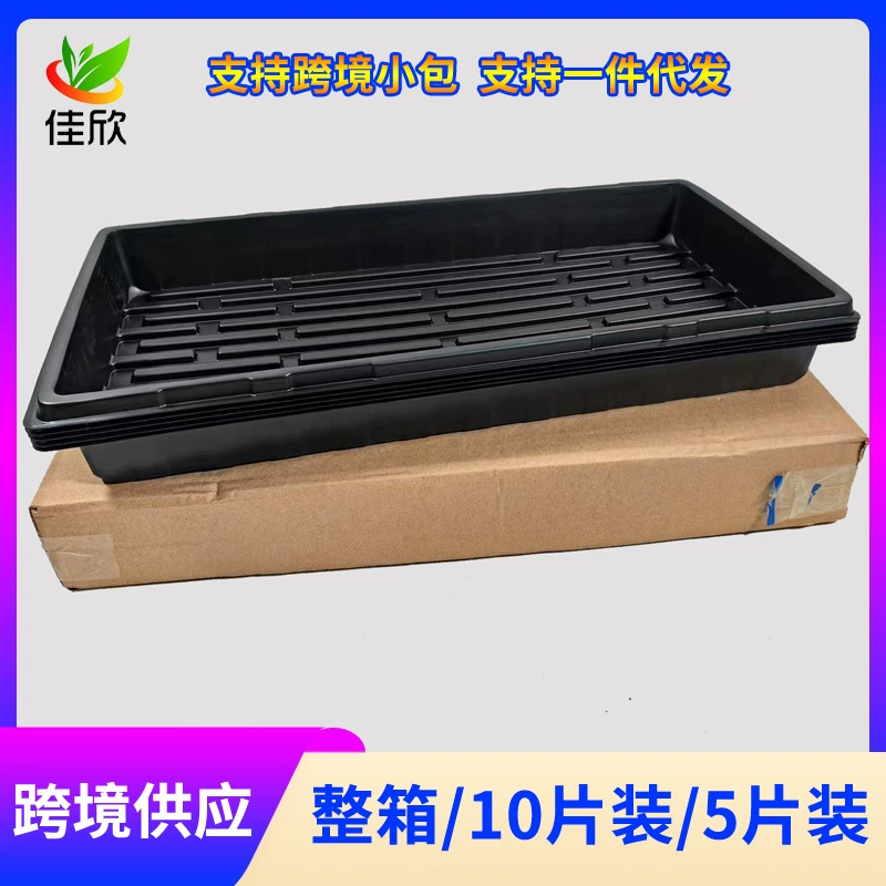 Черная рассада рассады ростки одна партия овощной тарелки прямоугольная утолщеная, мясистая пластиковая корзина для рассады