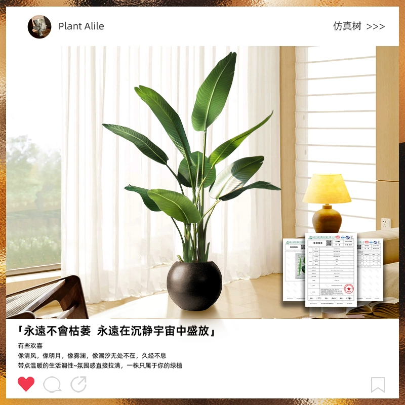 ✅ Large living room floor-standing ornaments indoor sofa TV cabinet next to fake plant Traveler Banana Bird of Paradise Green