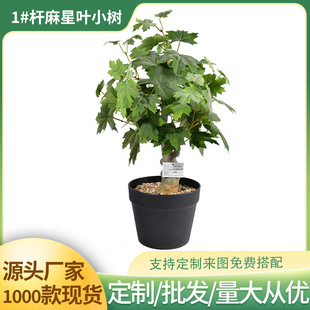 ���滨�����~�lؔ���辰�ٻ��k��������[���͏d���ҼҾӔ[���F؛