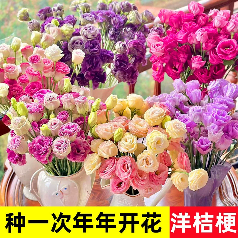 Семена эустомы