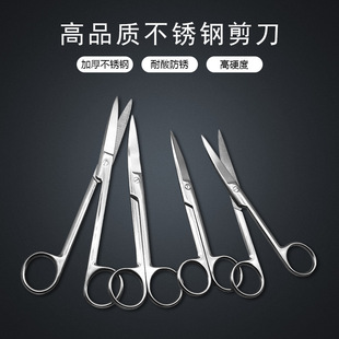 Wholesale gauze scissors stainless steel thickened round pointed scissors straight elbow experimental teaching materials pliers take-out scissors medicine box