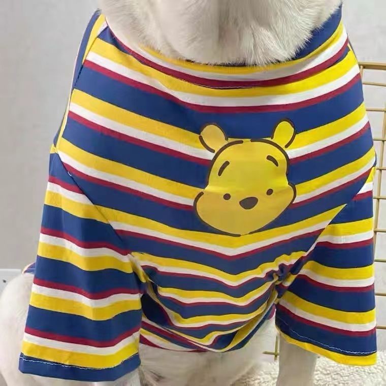 ラブラドールの服の犬は夏に毛を落として服を着ます。|undefined
