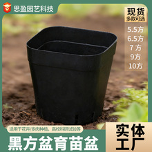 多肉基地花盆塑料方型圆型植物叶插育苗盆苗杯黑方盆绿植花卉盆栽