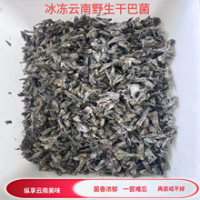 新鲜冰冻干巴菌野生云南山珍特产香味十足味道好精选美食材农产品
