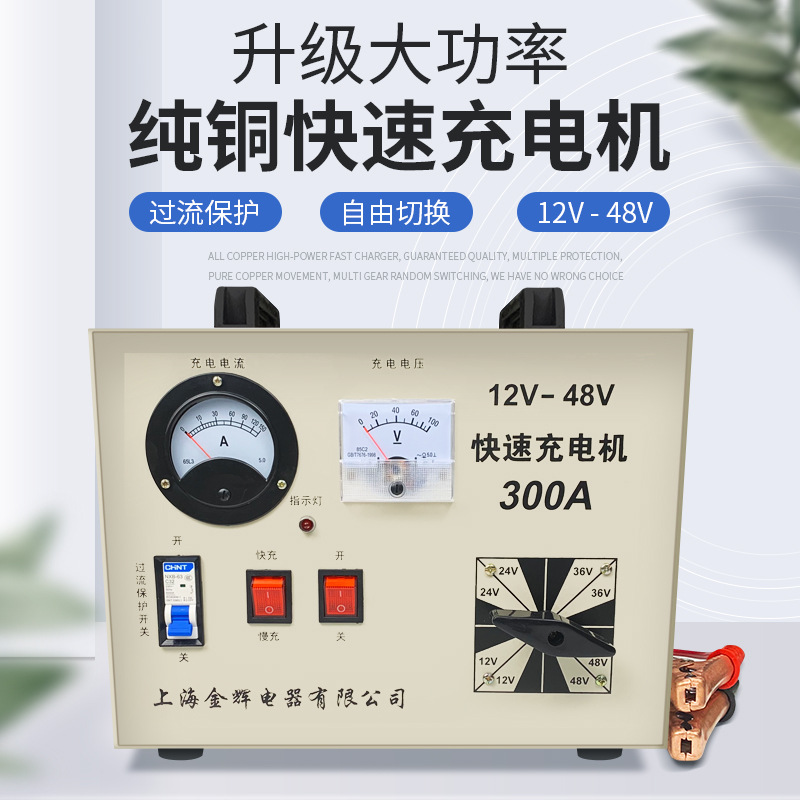 船用充电机汽车充电机蓄电池充电机12V-48V 300A大功率充电机铜芯