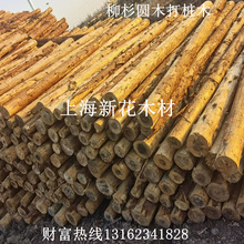 �S��ֱ�N��ɼľ ɼľ�� ���|ɼľԭľ �ӵ�ľ�� �o�·�Ѵ��ɼľ��