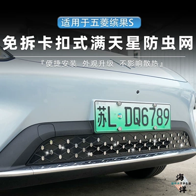 Special Use, Automobile anti-insect net - 50-bingo-gypsophila