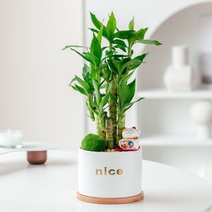 �ļ����F���Ĳ�����ˮ��ֲ���k���҃����՚�����ȩ����С����