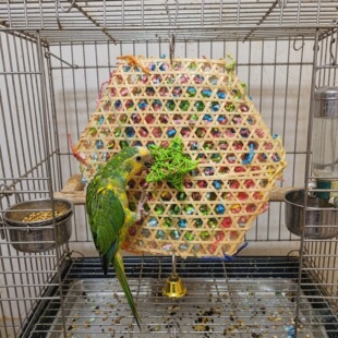 �W�^����B��Ʒ���z������b��W�^��ҧ��߾׽���߽␞�����