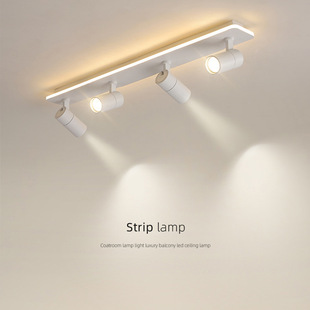 Cloakroom light luxury led fitting room porch lamp balcony lantern aisle lantern door long ceiling lamp