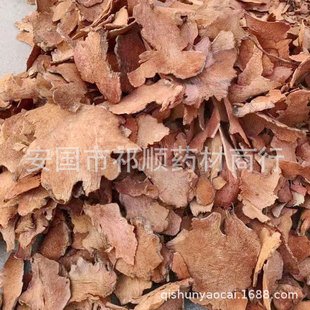 ����  ���ӹ� ����Ѭ���� ���ַ� ���� �����ٷ�  �����̷�