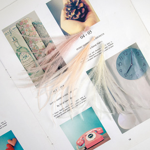 �r�B��ëë�z����10-15�b�Ʒ���h���Ʒ��ˇƷ