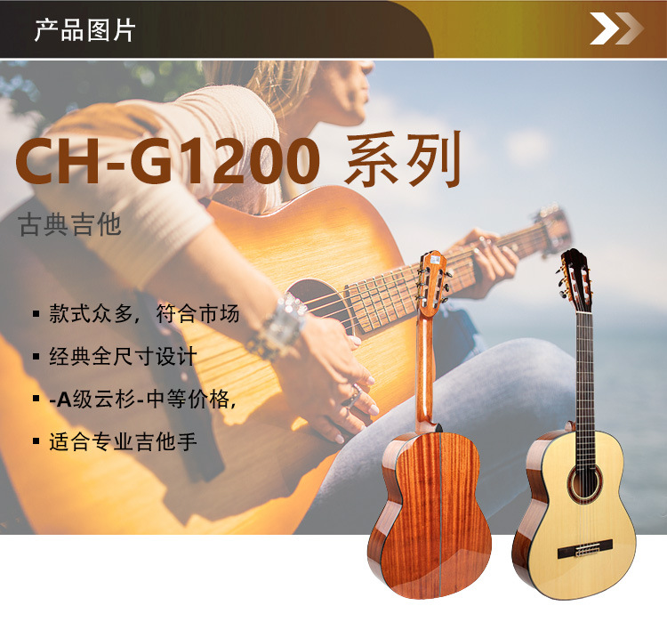 CH-G1200_02