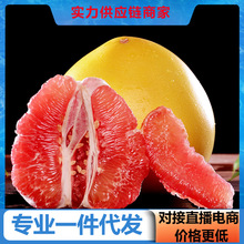 【活动款】红心柚子新鲜蜜柚红柚红心蜜柚对接电商直播产地直发