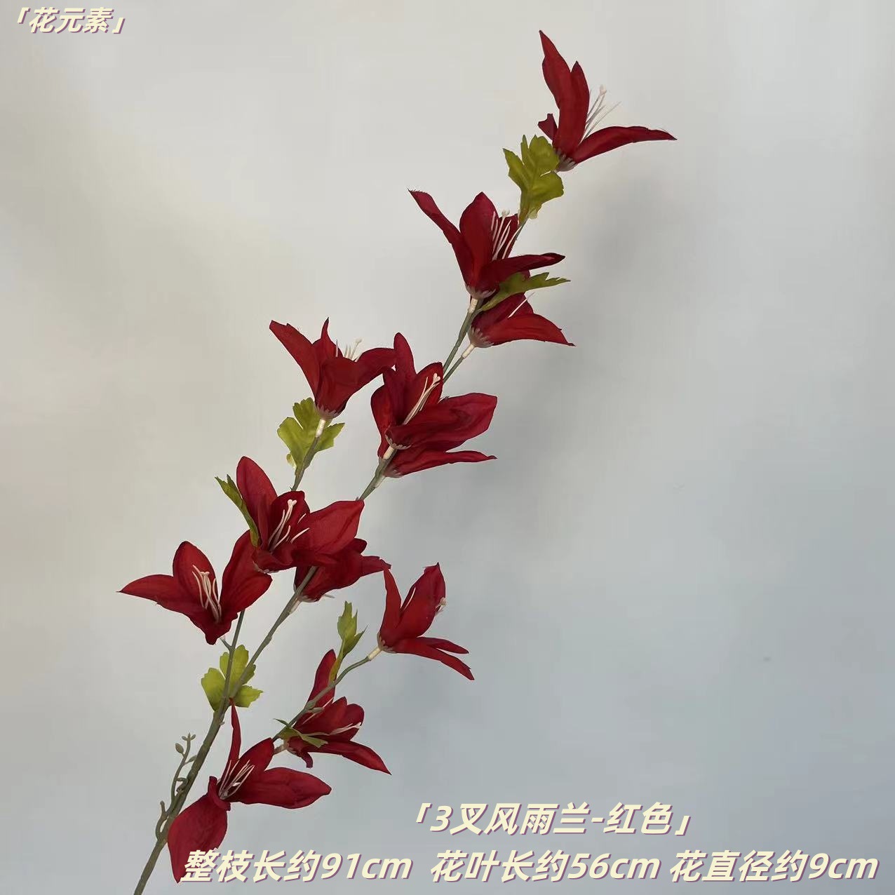 레드
