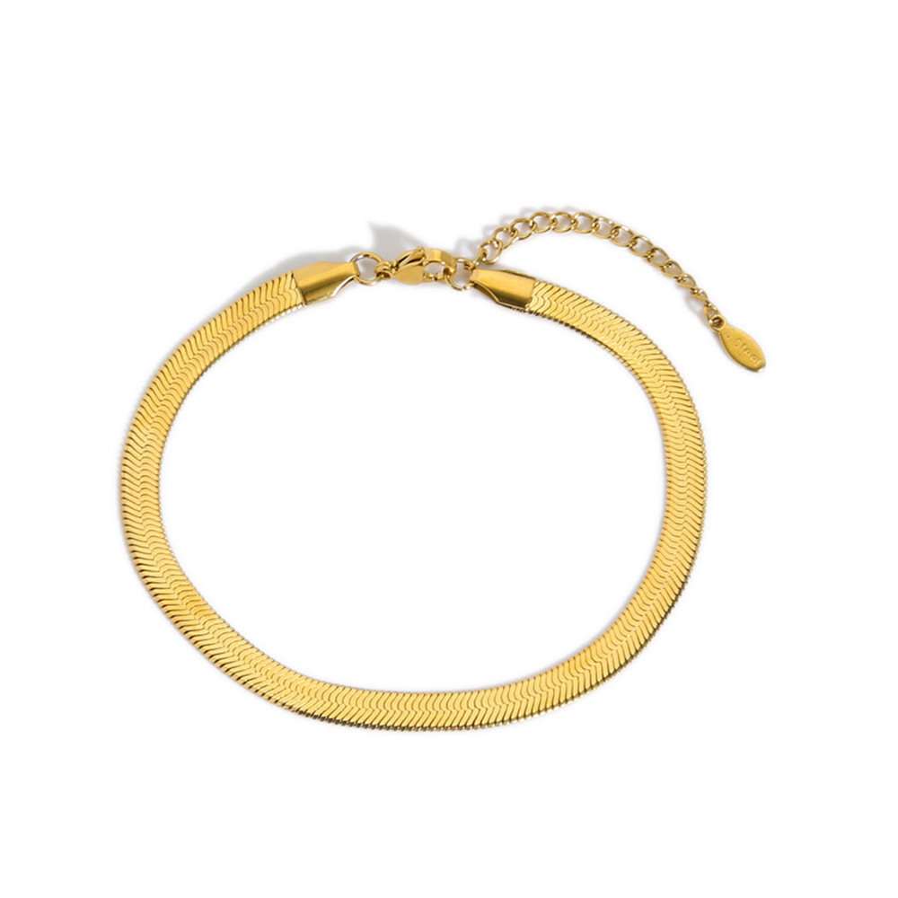 INS tobillas de acero de titanio estilo rojo moda versátil cadena de serpiente de acero inoxidable 18K oro ligero lujo no desvanecimiento tobillas accesorios para mujeres