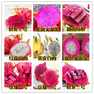 �������N�� �tƤ�t����tƤ������N��ͥԺ�̨�����Ϸ��ļ����N