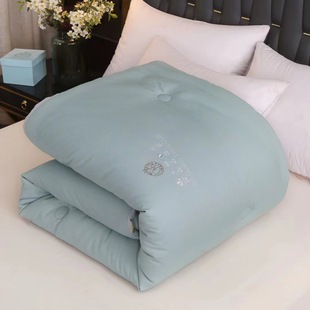 Thickened spring and autumn quilt soybean fiber cotton winter quilt whole feather cotton student bedding wholesale