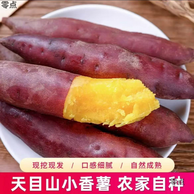 临安天目山小香薯沙地板栗红薯新鲜正宗黄心手指番薯蜜薯地瓜山芋