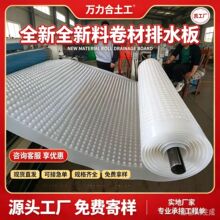 生产厂家园林绿化2.0高排水板 2.0疏水板导水板现货