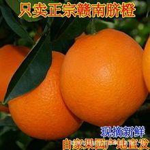 赣南脐橙江西省赣州市寻乌县新鲜10斤大果精品高端当季时令新鲜水