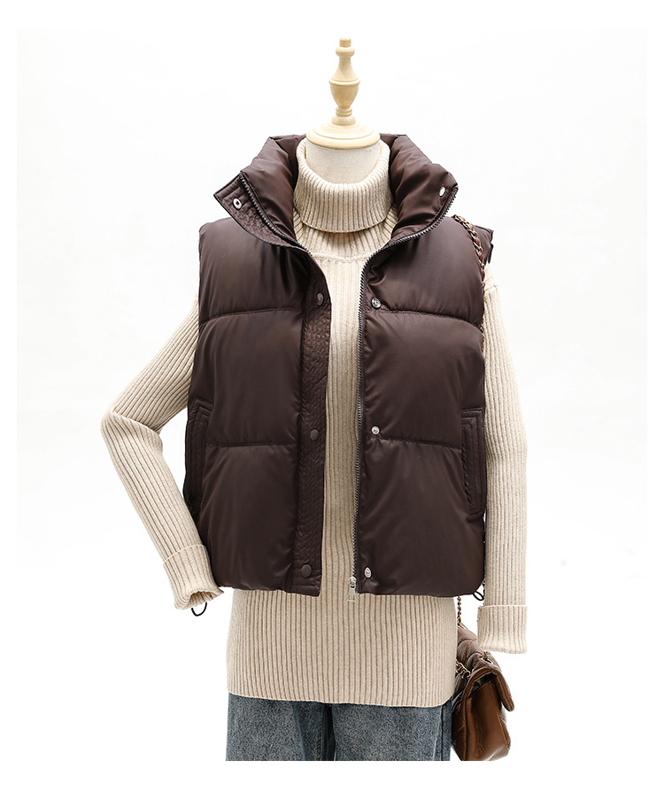 外国貿易のクロスボーダーのダウンの綿服の馬甲の女性は綿の服の短いタイプの秋冬の修身の袖なしの肩の上着の馬を着て潮を挟みます。