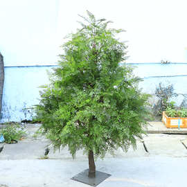 仿真水杉植物落地水杉树室内外酒店办公室家居假绿植装饰造景绿化