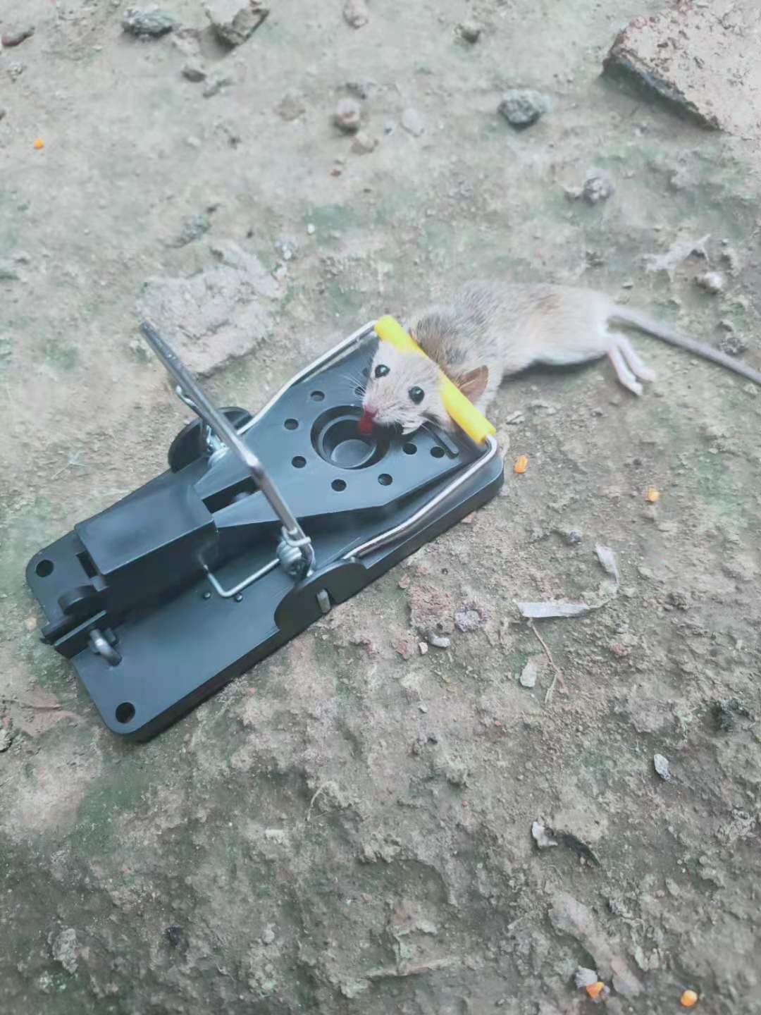 32eb235e49276f92c8e9f9a2e3482a