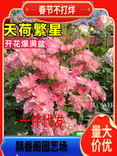 һ�����l��ɷ����¼������ش����������¼��ٱ��¼���֭�̨��