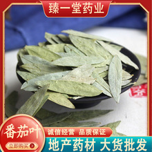 番泻叶1000克中药材装番茄叶蕃泻叶番泻叶粉藩泻叶支持打粉代发