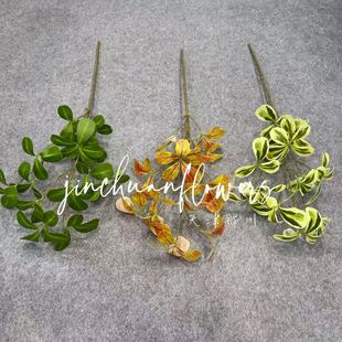 �¿����ֲ�� ��������ľ�Gɫϵ��c�û� �������û�ˇֲ���쾰