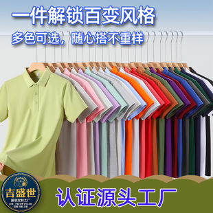 �߶˘I�ՆT�ļ�����������polo����Iչ�������L�q�޹��´̽�logo