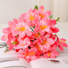 ?����5��10�^��ʰٺϻ�c�Ҿ��b���ˮ���m���b��ٻ����l