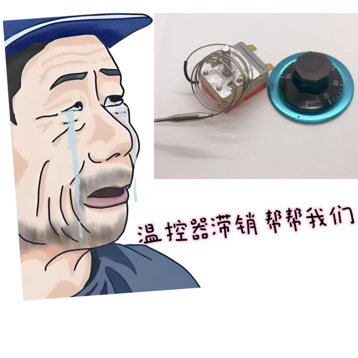 WHB-150-007温控器温控开关用于电饼铛电炸锅热水器调温智能电热