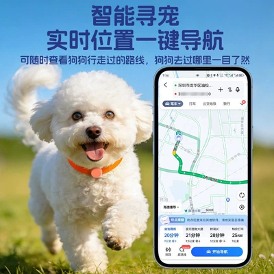 GPS Locator remote real-time location tracking